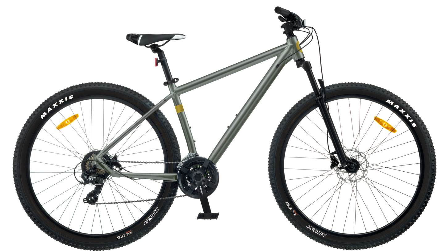Dviratis 29" Classic PRO