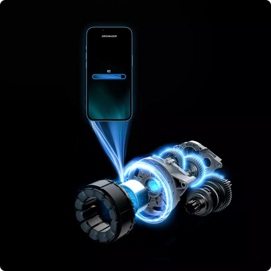 Levo 4 programinės įrangos atnaujinimas