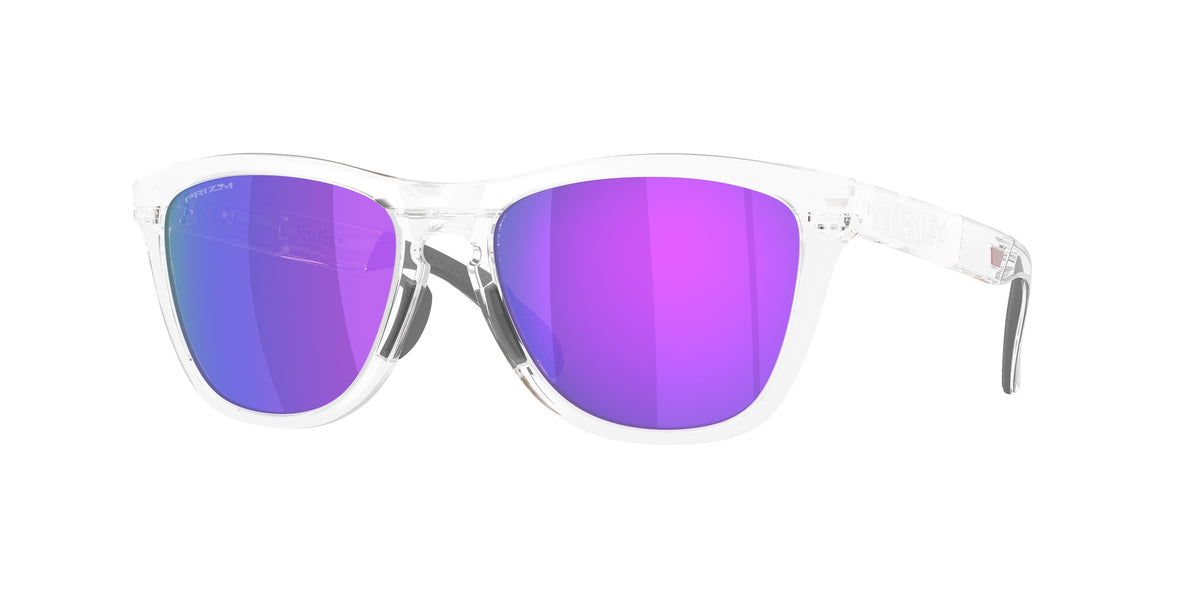 Oakley Frogskins Range XL saulės akiniai