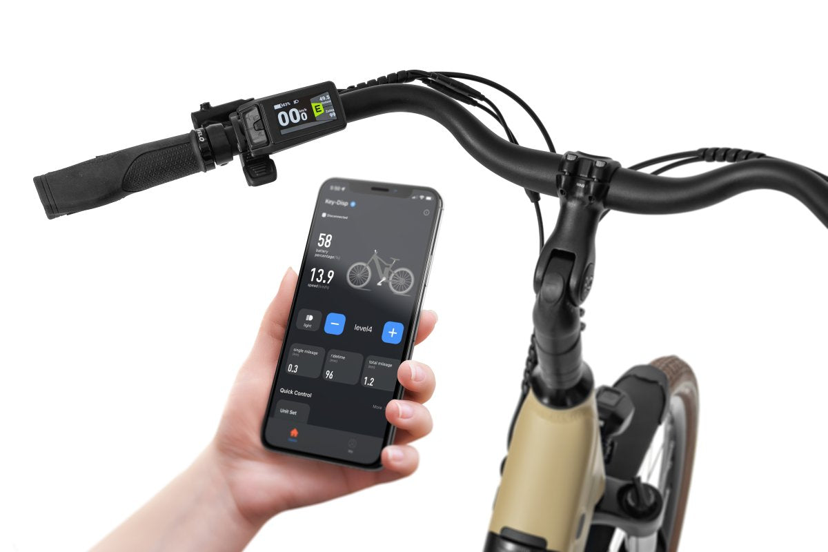 Elektrinis dviratis Ecobike X-City Cappuccino
