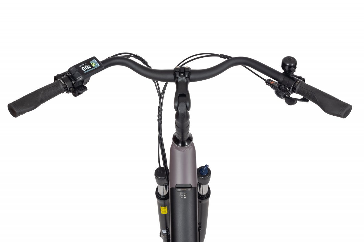 Elektrinis dviratis Ecobike X-City Coffee