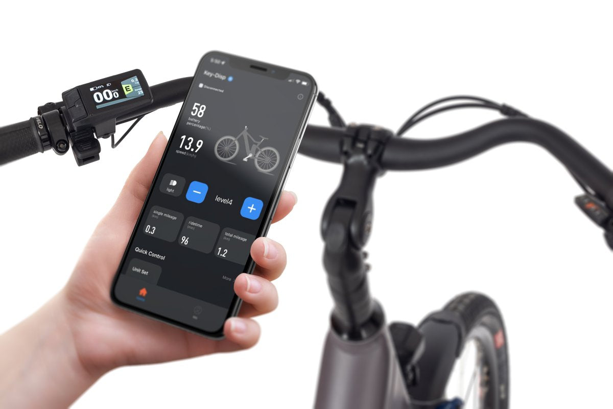 Elektrinis dviratis Ecobike X-City Coffee