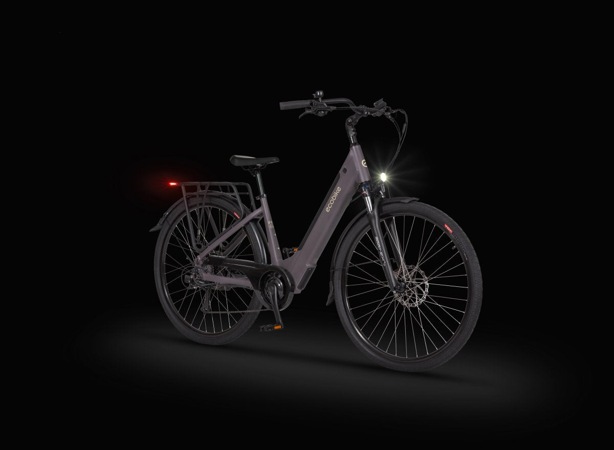 Elektrinis dviratis Ecobike X-City Coffee