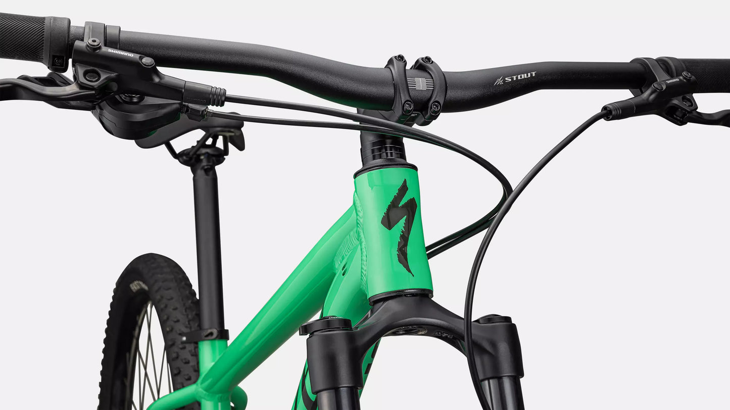 Dviratis 29" Specialized Rockhopper Expert (Copy)