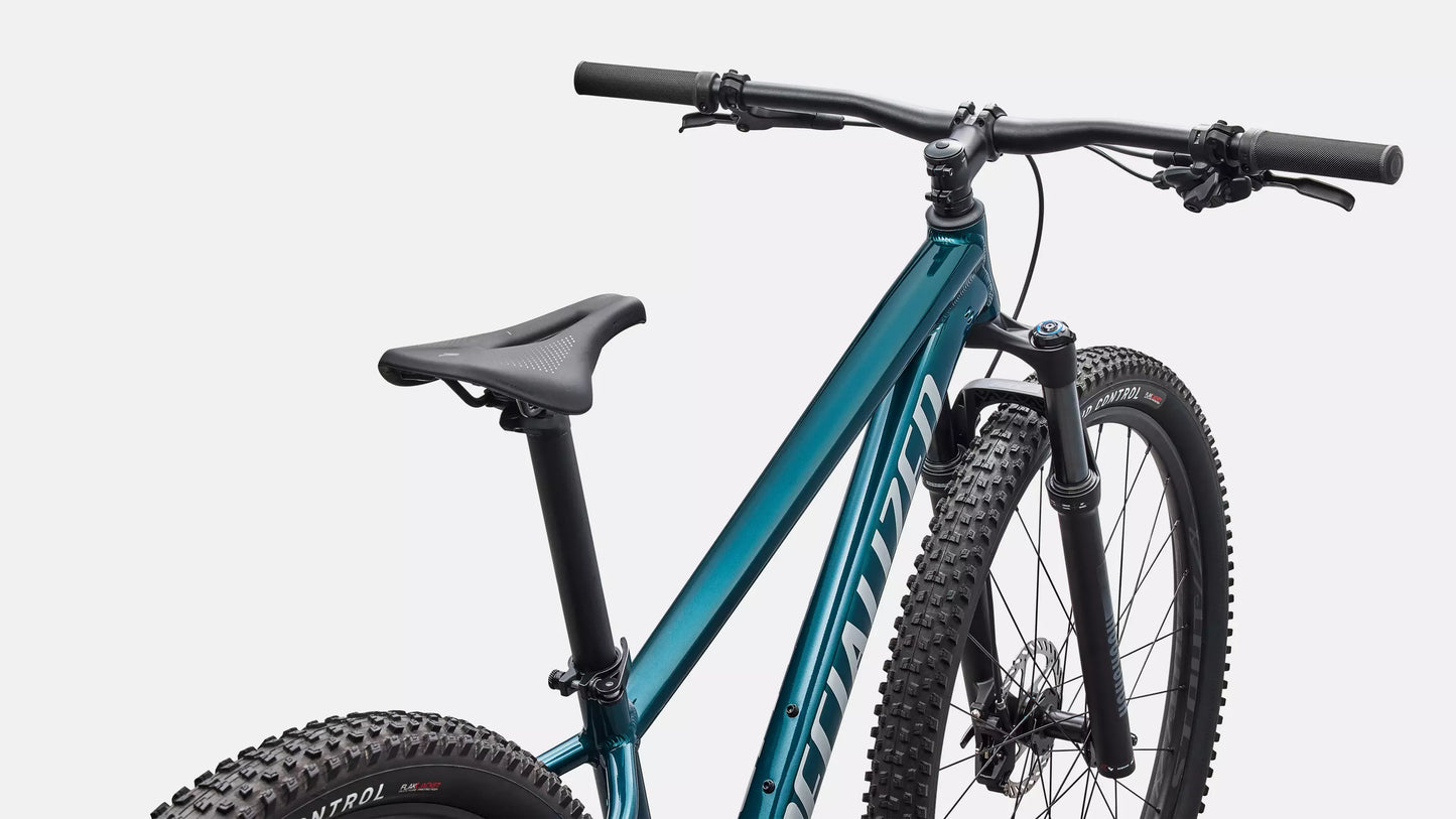 Dviratis 29" Specialized Rockhopper Expert