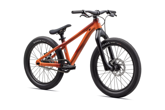 Specialized P.1