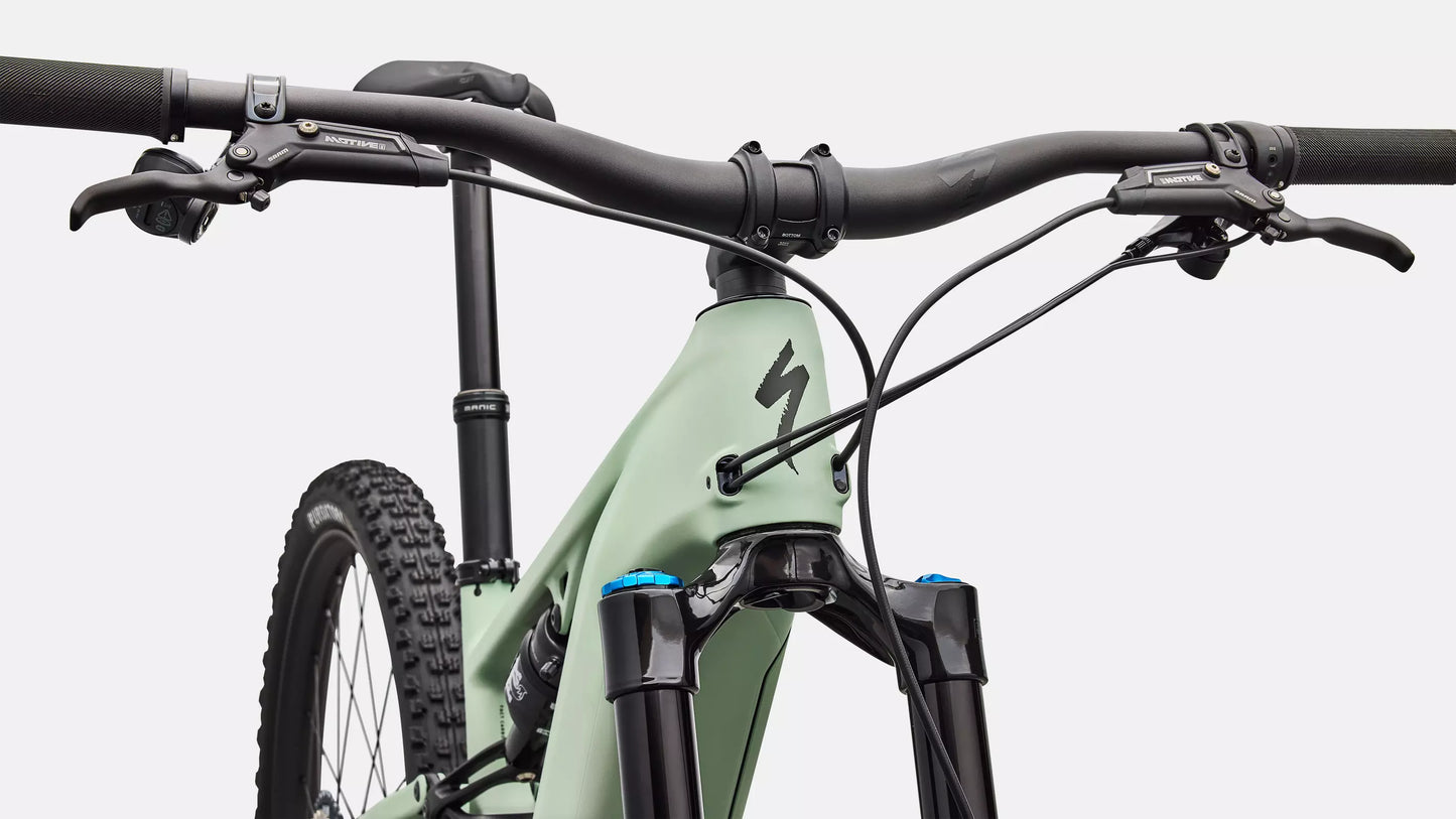 Elektrinis dviratis Specialized Turbo Levo R Expert